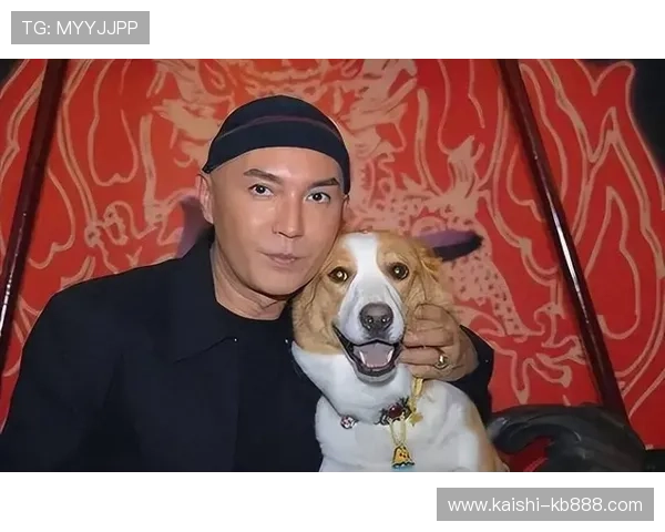 尊龙就是博娱，探索博弈与娱乐的完美结合体验